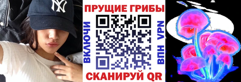 mega tor Инсар Псилоцибиновые грибы ЛСД